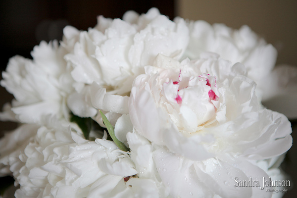 Best Vero Beach Hotel and Spa Wedding photographer - Sandra Johnson (SJFoto.com)